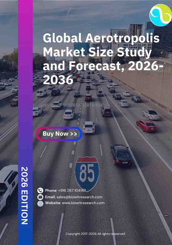 Global Aerotropolis Market