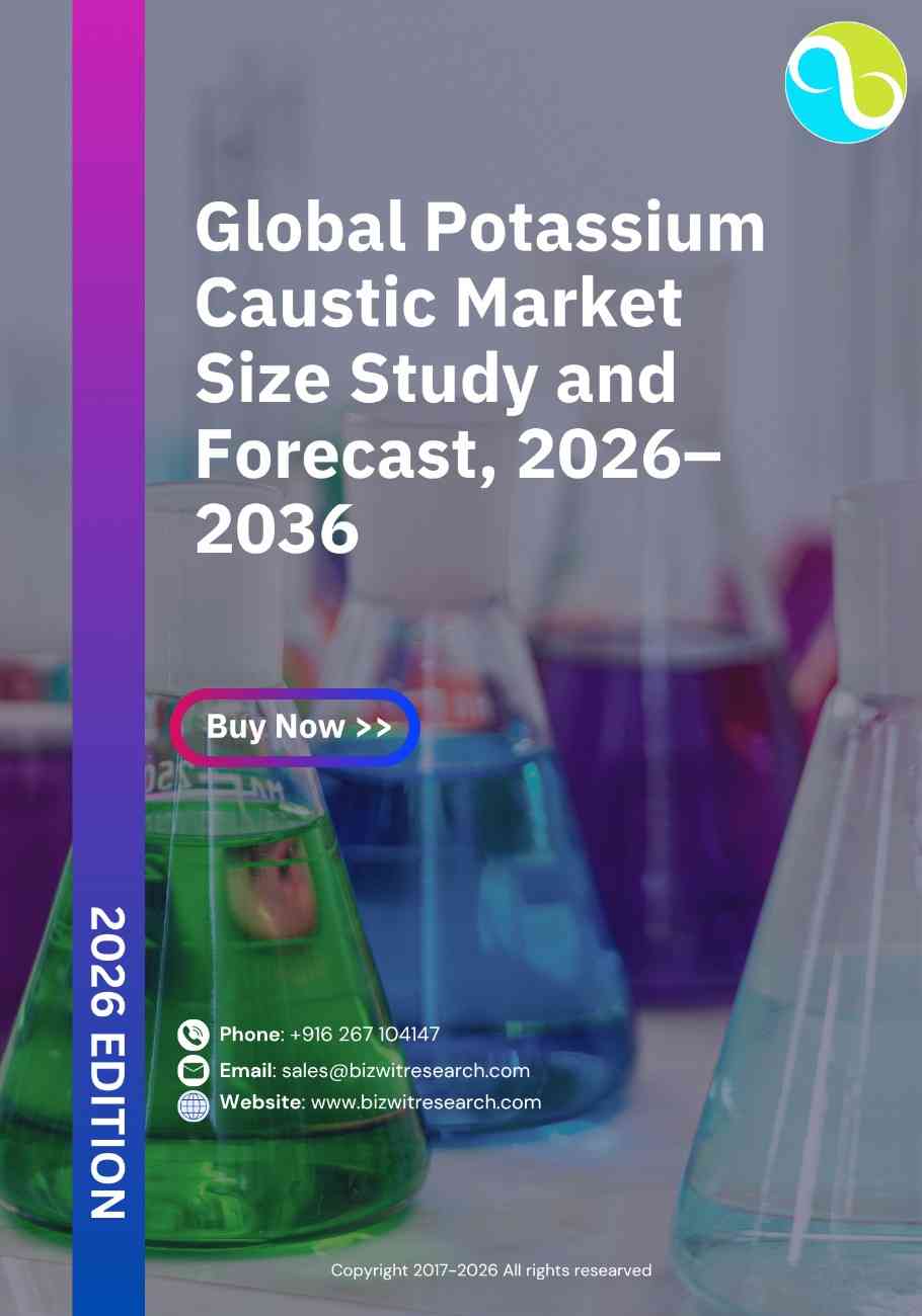 Global Potassium Caustic Market