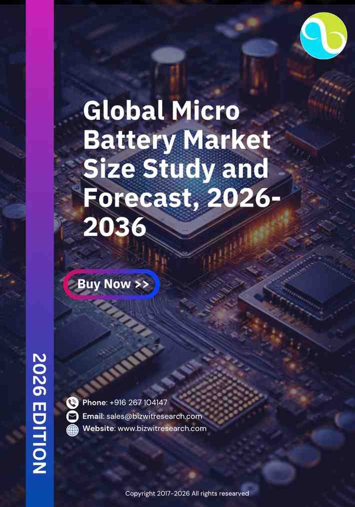 Global Micro Battery Market