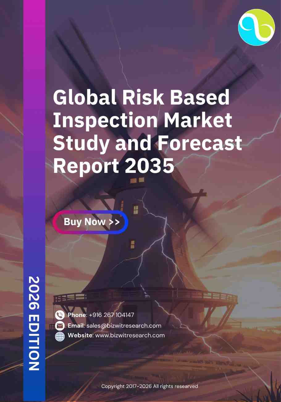 Global Risk Based Inspection Market
