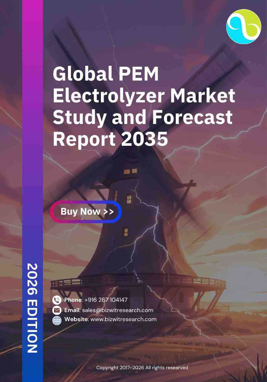Global PEM Electrolyzer Market