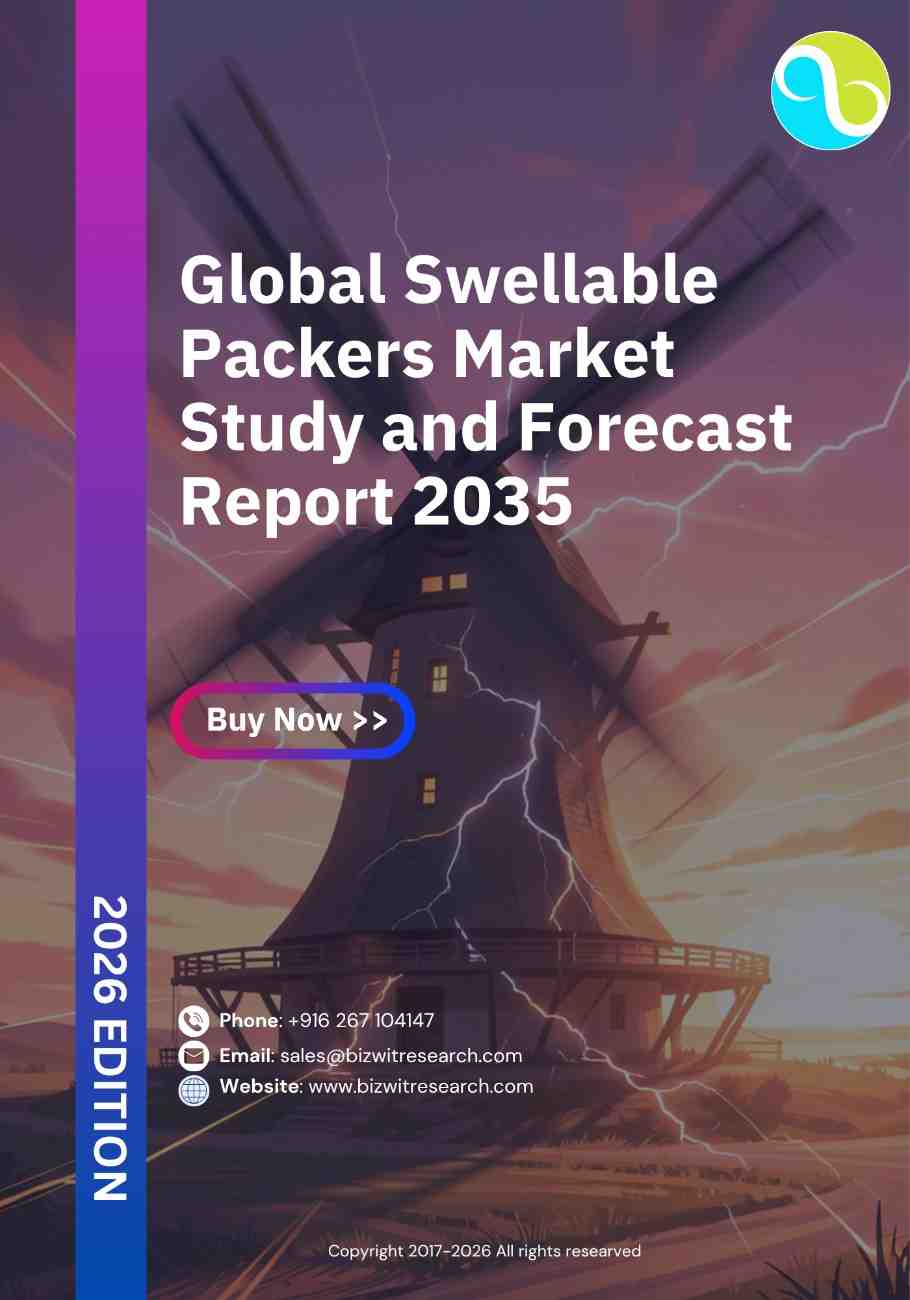 Global Swellable Packers Market