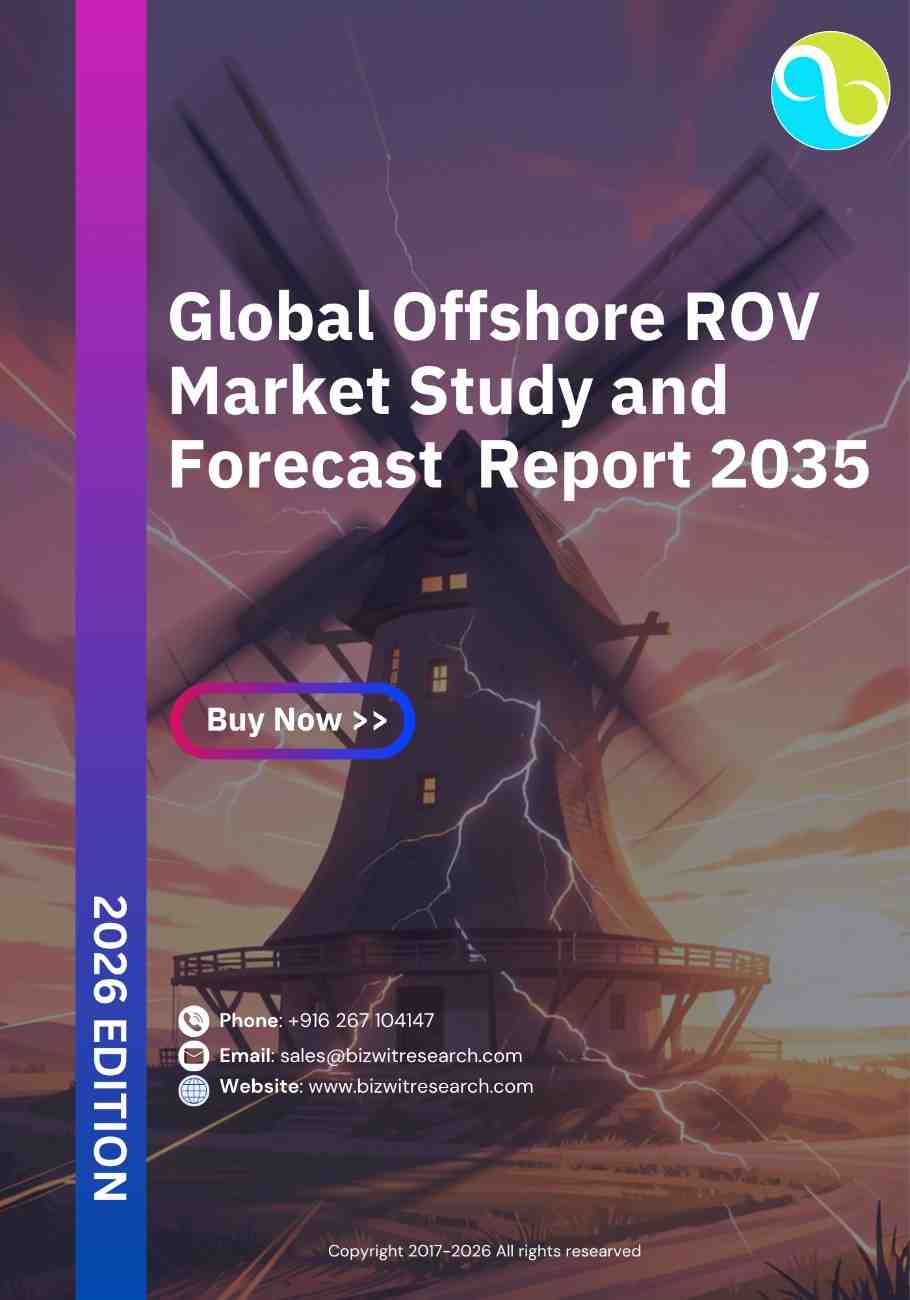 Global Offshore ROV Market